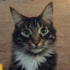 Meet your Posher, Carrie